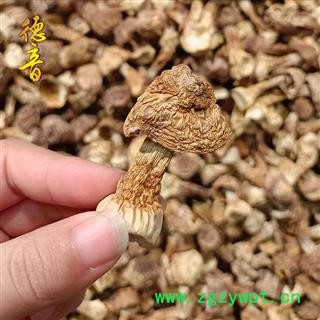 【满包邮】姬松茸 产地 吉林省 1000g 中药材天门冬批发 规格齐全图4