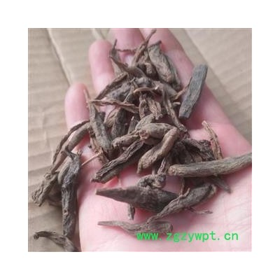 安祁名药双肾草参 天鹅抱蛋