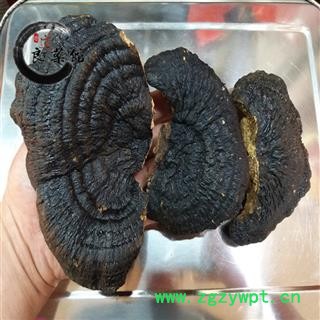 灵芝 野生薄树芝 野生灵芝 药典标准 地道良药馆 1000克直销 品种齐全 一站购齐图3