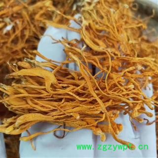 虫草花 精选虫草花 蛹虫草 金虫草 产地 吉林省图2