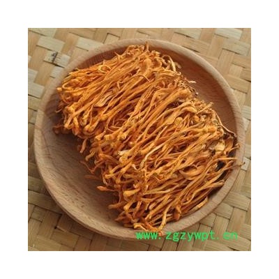 虫草花 精选虫草花 蛹虫草 金虫草 产地 吉林省