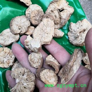 安祁名药中药材菊苣根 菊苣根丝 多种规格图2