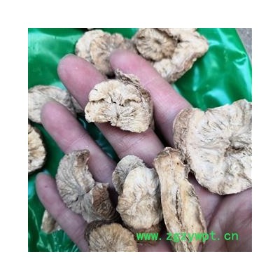 安祁名药中药材菊苣根  菊苣根丝 多种规格