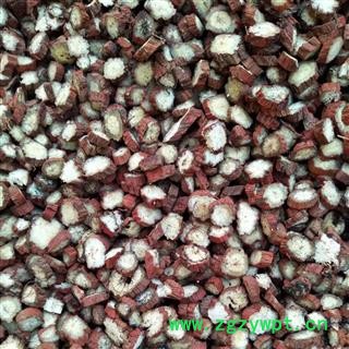 安祁名药丹参 山东丹参选片图2