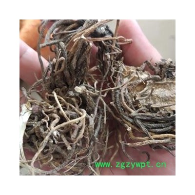 安祁名药正品藜芦 优质大统货