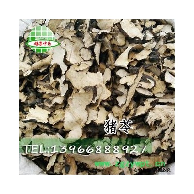 娟子中药批发 猪苓 猪苓片  统货 产地 陕西省咸阳市