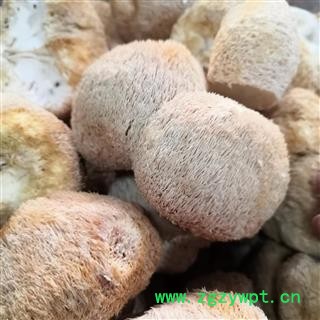 新辉药业优质香菇 野生猴头菇 猴头菌图3