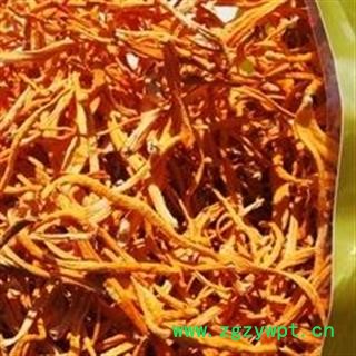 新辉药业虫草花 金虫草图3