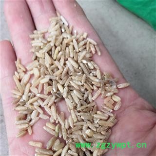 安祁名药药食同源优质太白米 白米 粳米图2