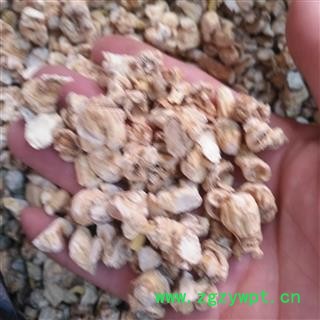 安祁名药正品人参 白参 各种规格图3