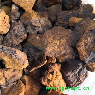 新辉药业正品白桦茸  桦树茸图2