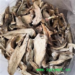 新辉药业云芝 多色牛肝菌 黄牛肝菌图2