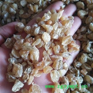 安祁名药正品薤白 优质选货  新货无硫图2