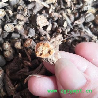 安祁名药柴胡  红柴胡 银柴胡  黑柴胡  检测合格包含量图2