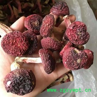 新辉药业优质香菇 野生红菇图2