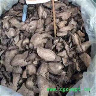 安祁名药正品紫茉莉根 喜马拉雅茉莉根图2