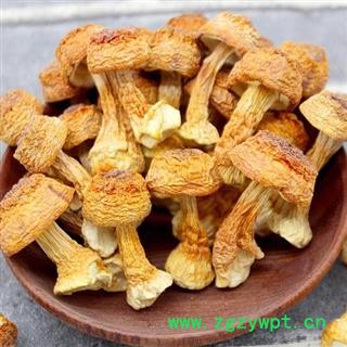 姬松茸 松茸正品保证质量7天无理由退货退款 中药材批发 丽丽药业图4