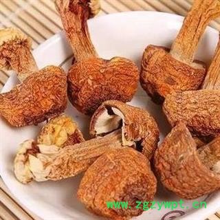 姬松茸 松茸正品保证质量7天无理由退货退款 中药材批发 丽丽药业图3