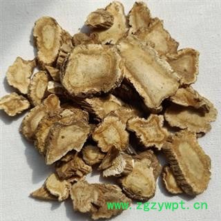 安祁名药白芷 祁白芷 另有川白芷图2