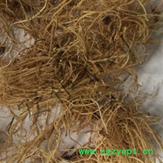 安祁名药细辛 水洗净根  辽细辛图2