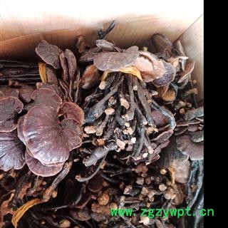 丽丽药业 竹灵芝 中药材批发 正品保证实图拍照7天无理由退货退款图2