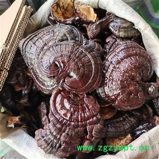 黑灵芝 大号灵芝实图拍照 正品保证质量7天无理由退货退款 安品堂图4