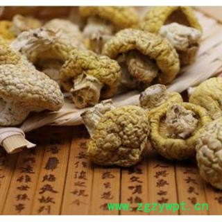 黄蘑菇 青海黄蘑菇 正品保证质量7天无理由退货退款 华安堂图2