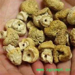 黄蘑菇 青海黄蘑菇 正品保证质量7天无理由退货退款 华安堂图3