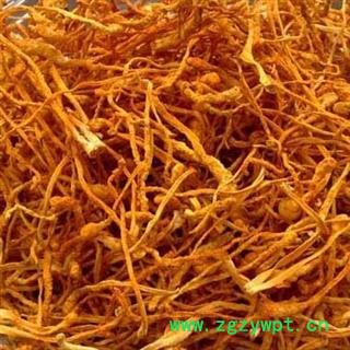 虫草花 孢子头 正品保证质量7天我可以退货退款 安品堂图2