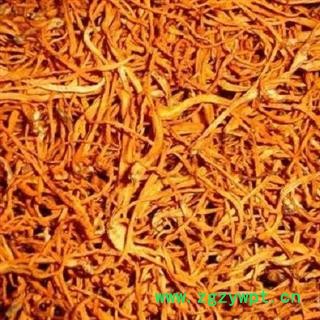 虫草花 孢子头 正品保证质量7天我可以退货退款 安品堂图4