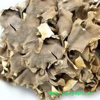 灰树花净500克 舞茸 千佛菌 叶状奇果菌 莲花菌 贝叶多孔菌 正品保证质量7天无理由退货退款 华安堂图2