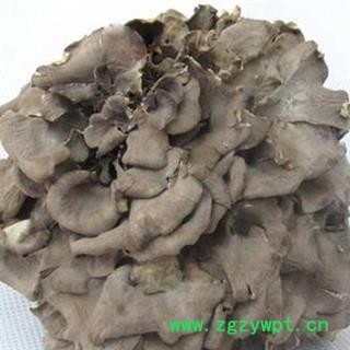 灰树花净500克 舞茸 千佛菌 叶状奇果菌 莲花菌 贝叶多孔菌 正品保证质量7天无理由退货退款 华安堂图4