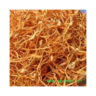 德誉堂药业 虫草花 蛹虫草 北虫草 产地 吉林省 诚信堂药铺批发各种中药材