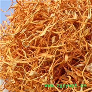 德誉堂药业 虫草花 蛹虫草 北虫草 产地 吉林省 诚信堂药铺批发各种中药材图2