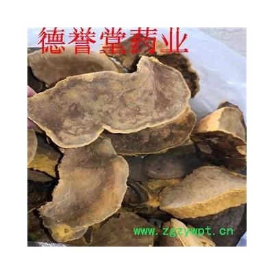 桑黄 西藏桑黄灵芝 林芝桑树桑黄 西藏野生桑黄 批发零售可代发