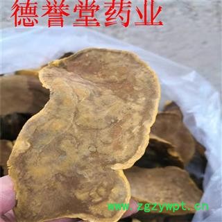 桑黄 西藏桑黄灵芝 林芝桑树桑黄 西藏野生桑黄 批发零售可代发图4