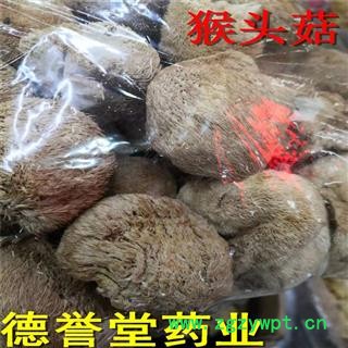 猴头菌猴头菇选猴头菇德誉堂药业批发零售各种中药材图4