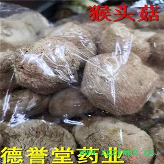 猴头菌猴头菇选猴头菇德誉堂药业批发零售各种中药材图2