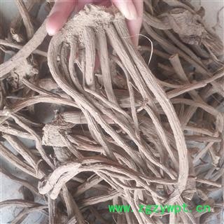 安祁名药道地直销土木香 祁木香   新货无硫图4