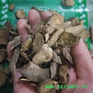 安祁名药正品选货土大黄 羊蹄根图2