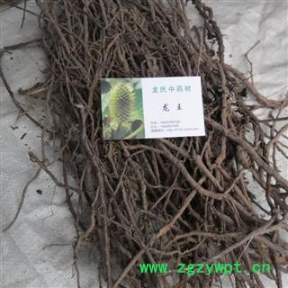 棕树根 好统货 产地 四川省成都市双流县图2