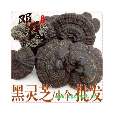 小个黑灵芝伞形盖选货1公斤起批苦味散装批发产地直供邓氏中药材批发