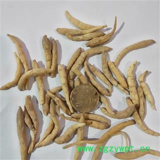 太子参 太子参大选200 产地 贵州省图4