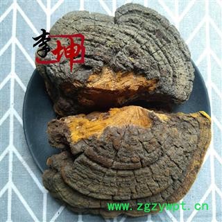 【包邮】桑黄 野生 正宗桑树桑黄 桑上寄生 桑黄中个 梅树菌 针层孔菌【良心经营 品种齐全】图2