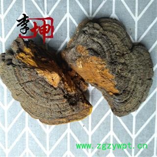 【包邮】桑黄 野生 正宗桑树桑黄 桑上寄生 桑黄中个 梅树菌 针层孔菌【良心经营 品种齐全】图3