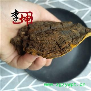 【包邮】桑黄 野生 正宗桑树桑黄 桑上寄生 桑黄中个 梅树菌 针层孔菌【良心经营 品种齐全】图4