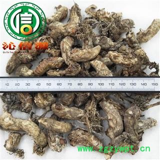 【满包邮】金蝉花个子统货散装产地直供蚕花沁信源中药批发图3