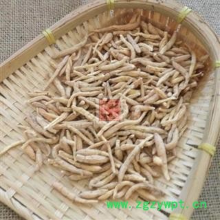 太子参 秦岭优质孩儿参 手工挑选晒干500g图3