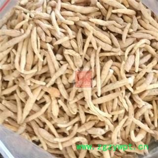 太子参 秦岭优质孩儿参 手工挑选晒干500g图4