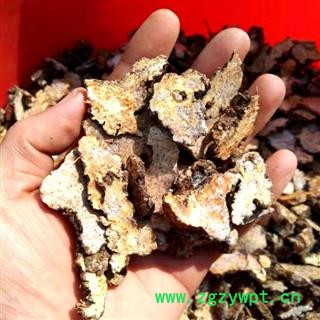 南苍术 秦岭优质野生苍术 茅苍术 南苍术 黑苍术 手工切片 日晒无硫 味浓易起霜 500g图3